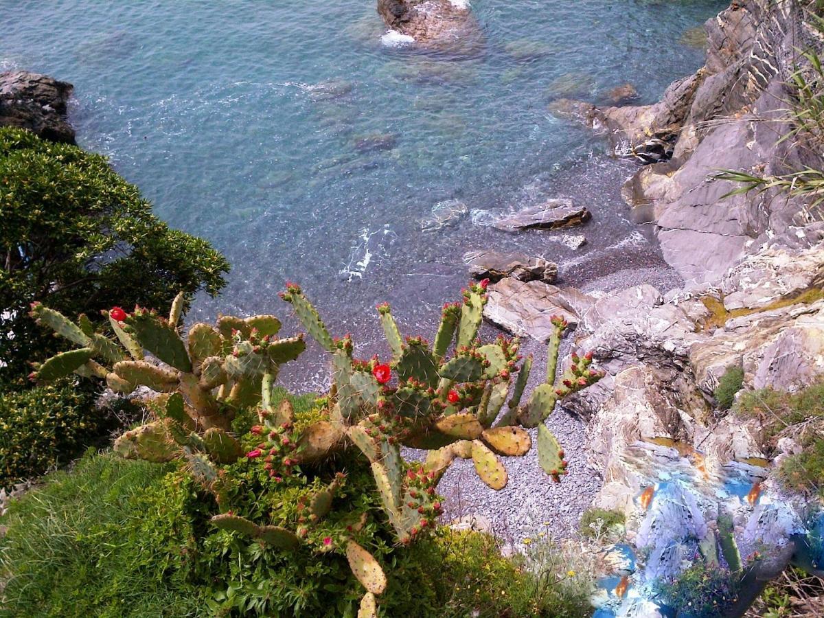Le case di Recco by Holiday World Camera foto